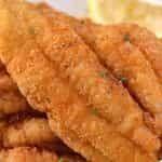 Catfish Fillet (2pcs)