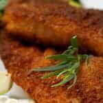 Red Snapper (2pcs)