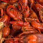 1 lb Crawfish